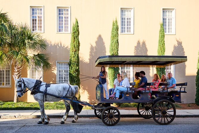 Charleston Horse-Drawn Carriage Tour: Explore Historic Charleston - Insights From the Knowledgeable Guides