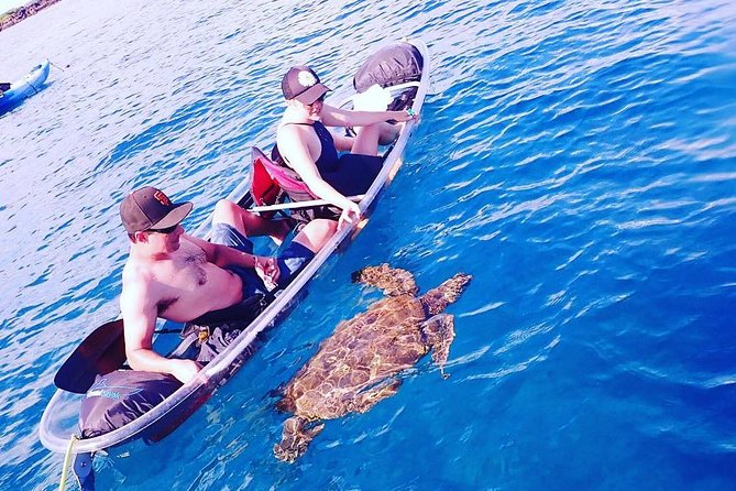 Clear Bottom Kayak and Snorkel Tour at Turtle Town, Makena - Meeting Information