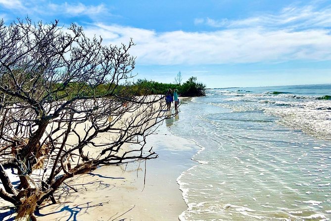 Clear Kayak Tour of Shell Key Preserve and Tampa Bay Area - Guides and Personalized Experiences