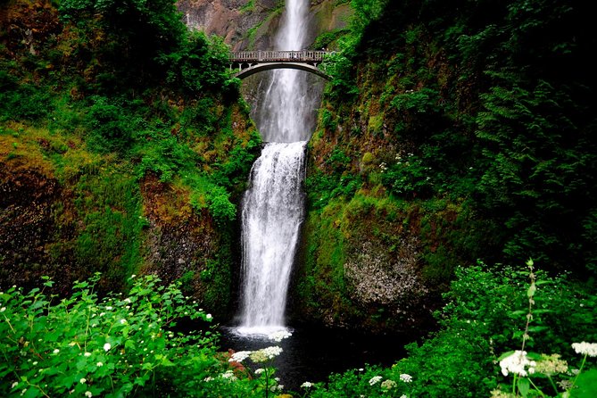 Columbia River Gorge Waterfalls & Mt Hood Tour From Portland, or - Traveler Experiences and Reviews