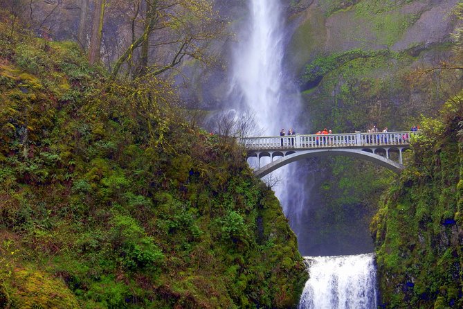 Columbia River Gorge Waterfalls Tour From Portland, or - Discovering Unique Species and Landscapes