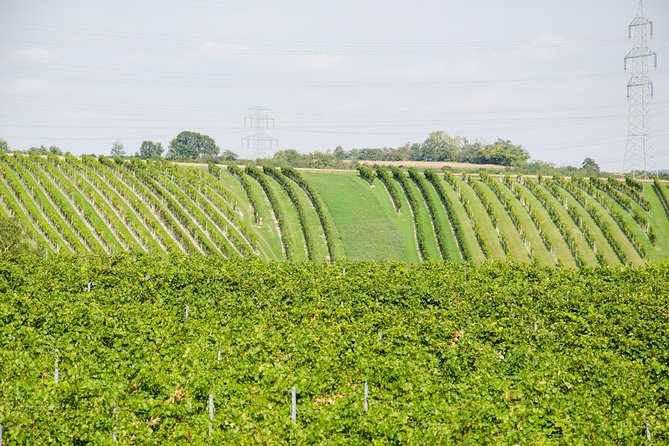 Countryside Half Day Wine Tour Near Vienna - Exceptional Value and Quality