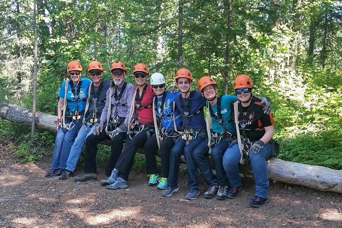 Denali Zipline Tour in Talkeetna, AK - Expert Guides and Safety Training