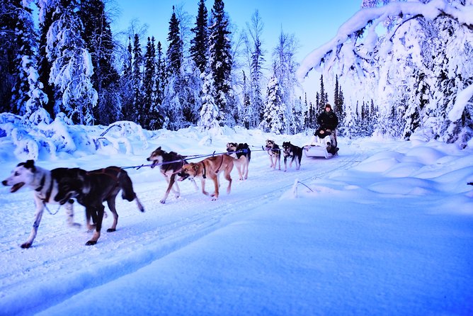 Dog Sledding and Mushing Experience in North Pole - Appreciating the Alaskan Sled Dog Culture