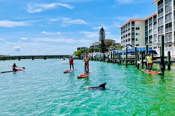 Dolphin and Manatee Adventure Tour of Fort Myers - Customer Reviews and Highlights