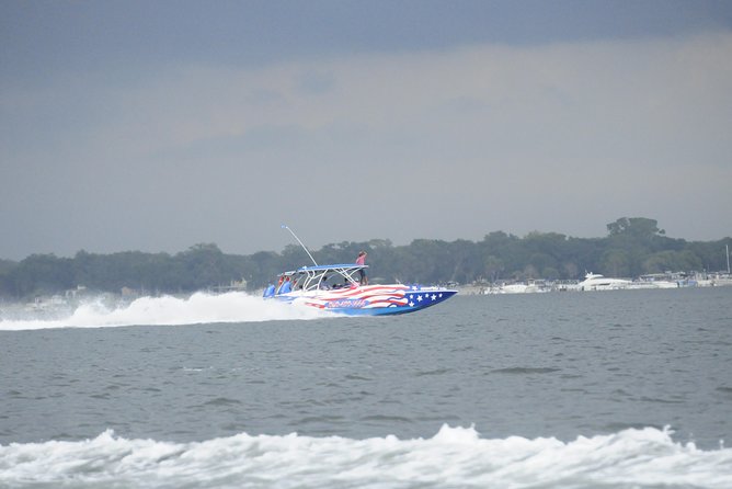 Dolphin-Watching Speedboat Cruise in Destin Harbor - Highlights of the Cruise