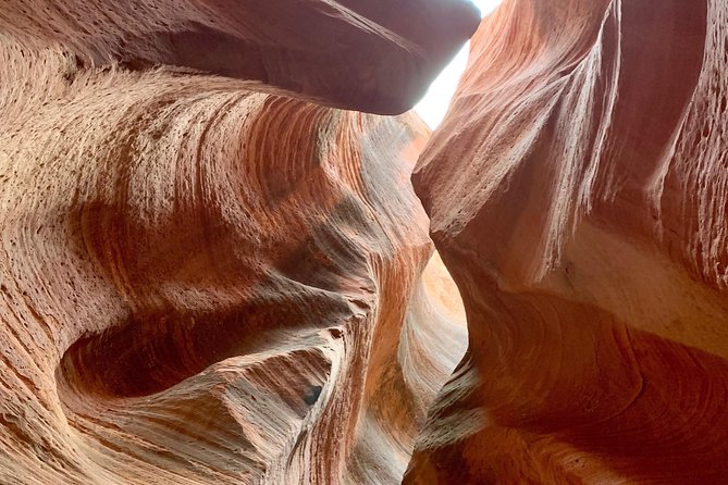 East Zion 4 Hour Slot Canyon Canyoneering UTV Tour - Stunning Scenery