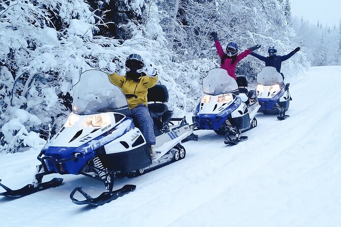 Fairbanks Snowmobile Adventure From North Pole - Traveler Reviews and Feedback