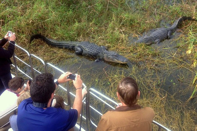 Florida Everglades Airboat Tour and Wild Florida Admission With Optional Lunch - Guest Activities and Amenities