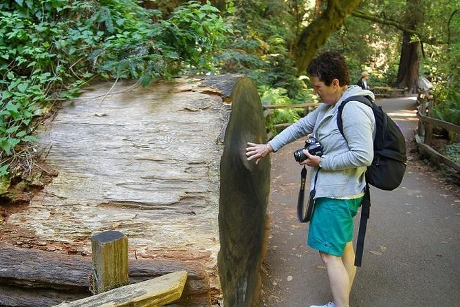 From San Francisco: Guided Tour to Muir Woods Coastal Redwoods - Traveler Feedback and Recommendations