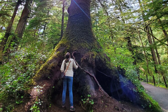 Full-Day Guided Oregon Coast Tour From Portland - Cancellation Policy and Additional Info