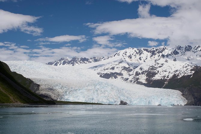 Full-Day Kenai Fjords National Park Cruise - Onboard Experience and Amenities