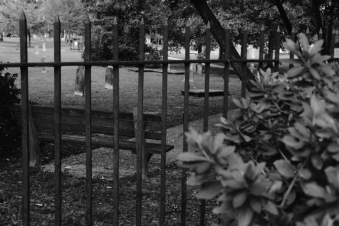 Genteel and Bards Savannah Dark History and Ghost Encounter Walking Tour - Engaging Storytelling Techniques