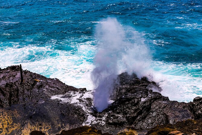 Grand Circle Island and Haleiwa 9 Hour Tour - Tour Duration and Pricing