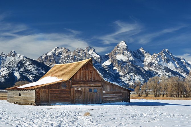 Grand Teton Wildlife Safari in a Enclosed or Open-Air Vehicle (Season Dependent) - Age Restrictions and Accessibility