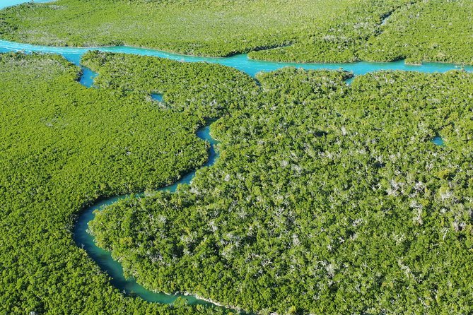 Guided Clear Kayak Eco-Tour Near Key West - Tour Guide Expertise