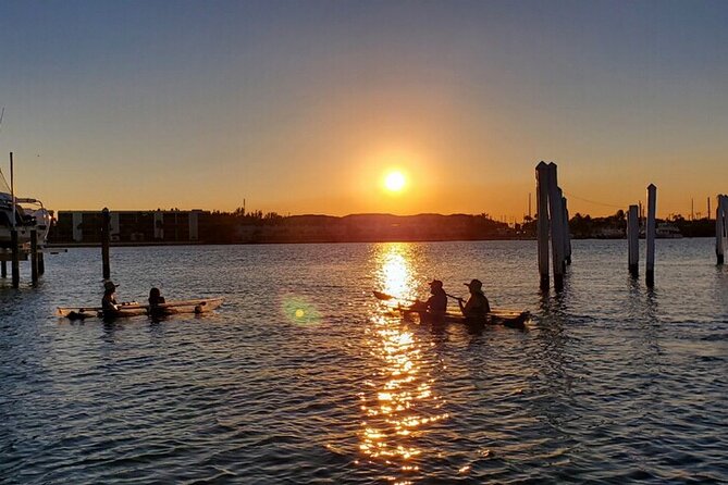 Guided Clear Kayak Eco-Tour of Jupiter - Customer Feedback and Recommendations