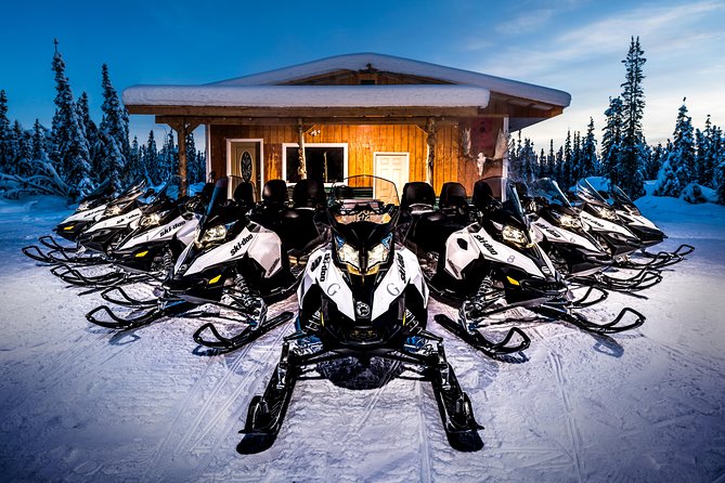 Guided Fairbanks Snowmobile Tour - What to Expect During the Tour