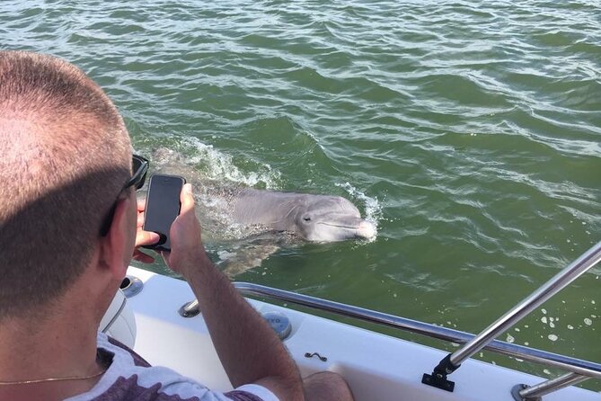 Hilton Head Island Dolphin Boat Cruise - Booking and Pricing Information