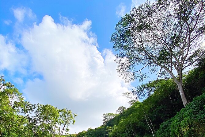 Kauai Adventure: Kayak & Hike to Secret Falls With Expert Guide - Meeting and Pickup Logistics