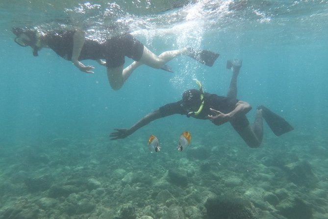 Kauai's Ultimate Guided Shore Snorkel: South Poipu - Exploring the Vibrant South Shore Reefs