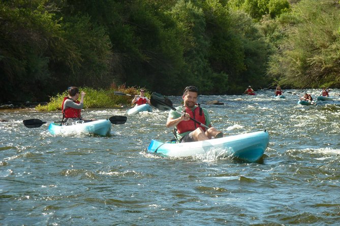 Kayaking the Salt River Foxtail Trip - Additional Tips and Recommendations