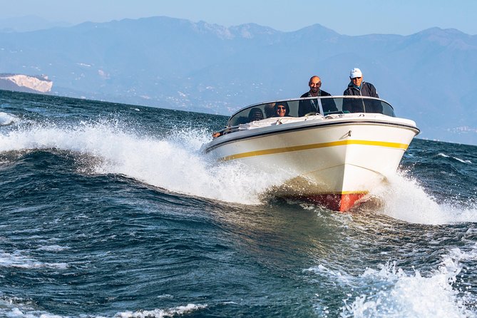 Lake Garda Mini Cruise: Sirmione Peninsula - Meeting Point and Accessibility