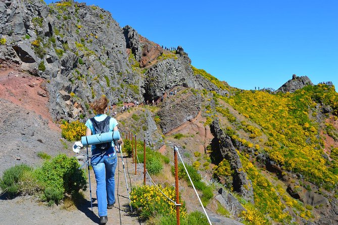 Madeira Peaks - Mountain Walk - What to Expect on the Trail