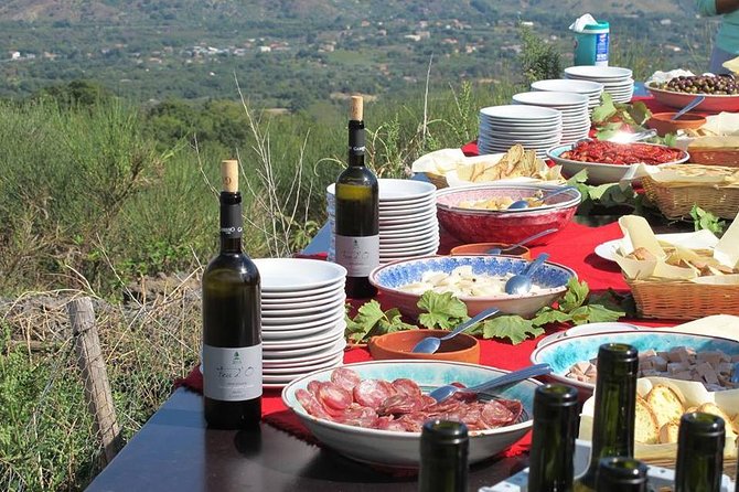 Private 6-Hour Tour of Three Etna Wineries With Food&Wine Tasting - Winery Exploration and Tasting