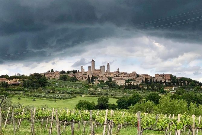 Private Tour in Siena, San Gimignano and Chianti Day Trip From Florence - Experiences and Feedback