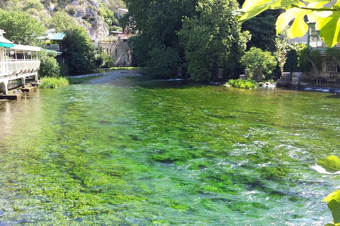 Provence Highlights Full-Day Tour From Avignon - Visiting Senanque Abbey