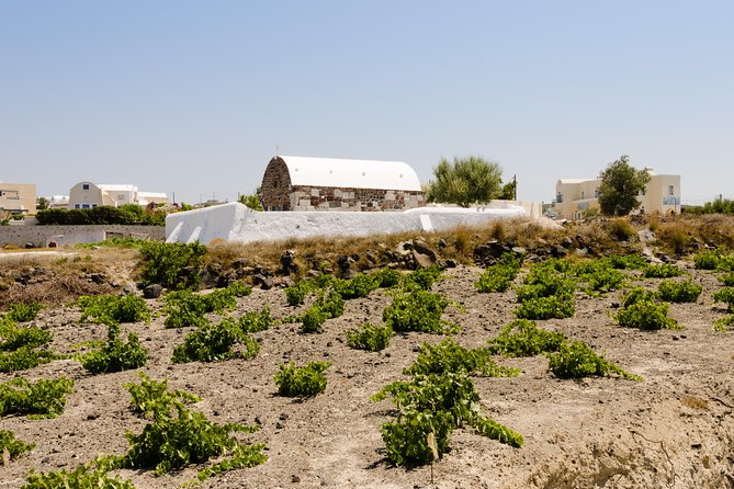 Santorini Highlights and Venetian Castles Small-Group Day Tour - Recommended for First-Time Visitors