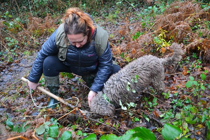 Truffle Hunting Experience With Lunch in San Miniato - Discovering the Culinary Delights of the Menu