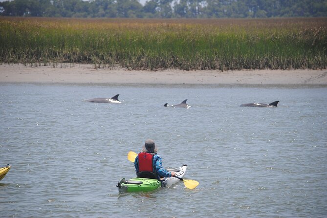 2-Hour Guided Kayak Eco Tour in Charleston - What to Expect