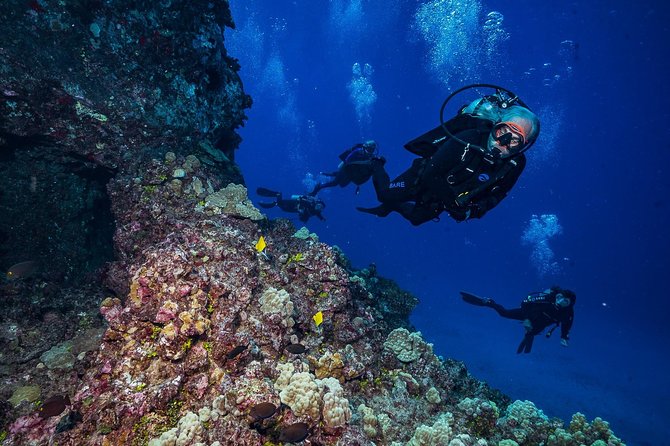 2 Tank Lanai Cathedral Scuba Dive Via Boat for Certified Divers - Equipment and Amenities