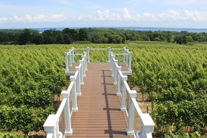 5-Hour Traverse City Wine Tour: 4 Wineries on Old Mission Peninsula - Customer Ratings and Feedback