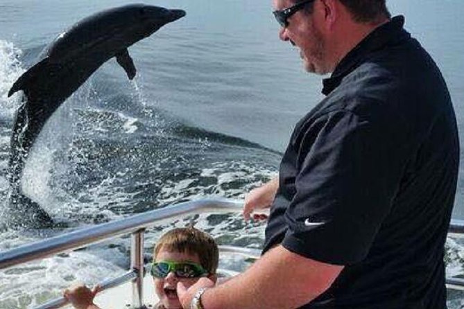 Alabama Gulf Coast Dolphin Cruise - Positive Traveler Reviews and Highlights