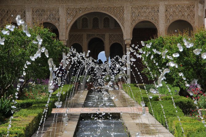 Alhambra & Generalife Skip the Line Premium Tour Including Nasrid Palaces - Visitor Guidelines and Feedback