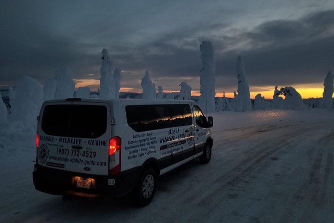 Arctic Circle and Northern Lights Tour From Fairbanks - Northern Lights Viewing