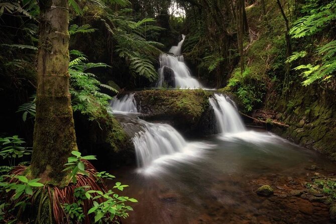 Big Island Waterfalls Tour With Swimming and Botanical Garden - Kulaniapia Falls