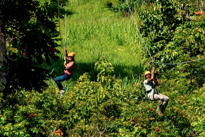 Big Island Zipline Adventure - Traveler Feedback