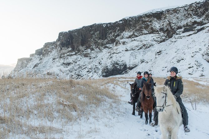 Black Sand Beach Horse Riding Tour From Vik - Capturing Memorable Moments