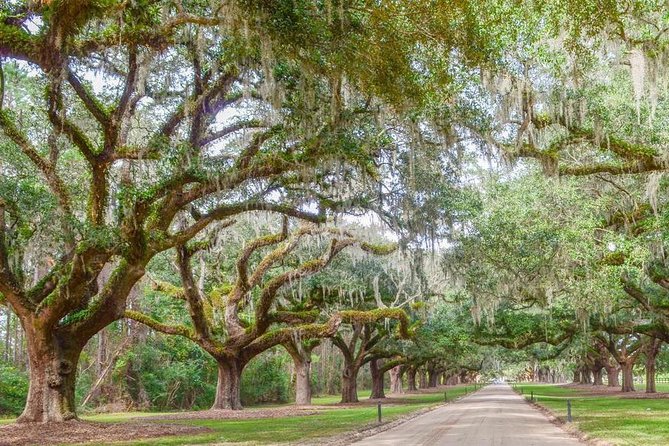 Boone Hall Plantation All-Access Admission Ticket - Experiencing Gullah Culture