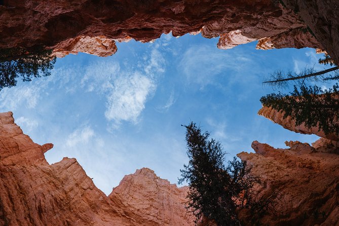 Bryce Canyon & Zion National Parks From Vegas, Lunch, Free Wifi - Exploring Zion National Park