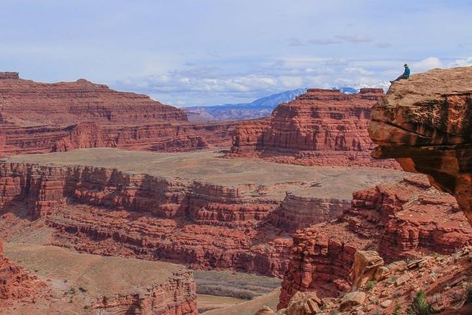 Canyonlands National Park Half-Day Tour From Moab - What to Expect on the Tour