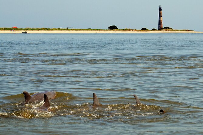 Charleston Eco Boat Cruise With Stop at Morris Island Lighthouse - Recommended Items and Preparation Tips