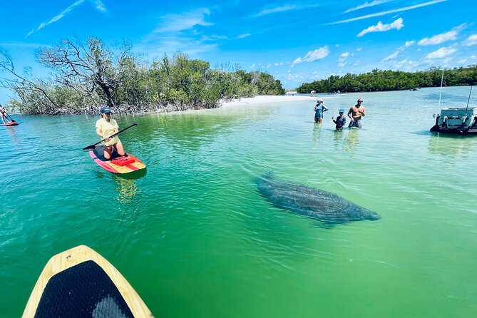 Dolphin and Manatee Adventure Tour of Fort Myers - Weather and Experience Level