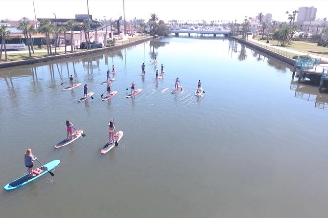 Dolphin and Manatee Stand Up Paddleboard Tour in Daytona Beach - Exploring Manatee-Rich Waters