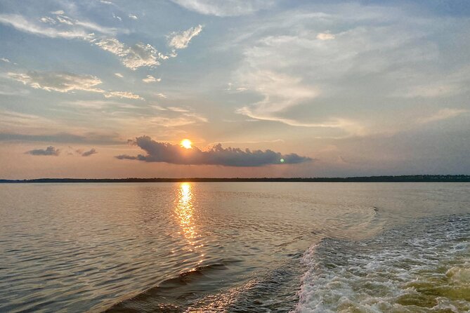 Dolphin and Nature Sunset Cruise From Orange Beach - Customer Feedback and Ratings