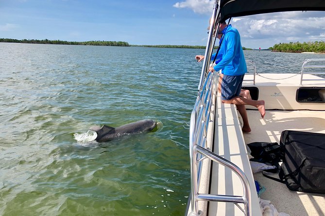 Dolphin and Shelling Cruise for up to 12 People - Exploring the Ten Thousand Islands